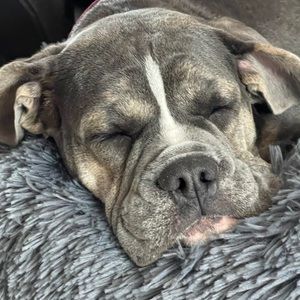 Meet your Posher, Maria